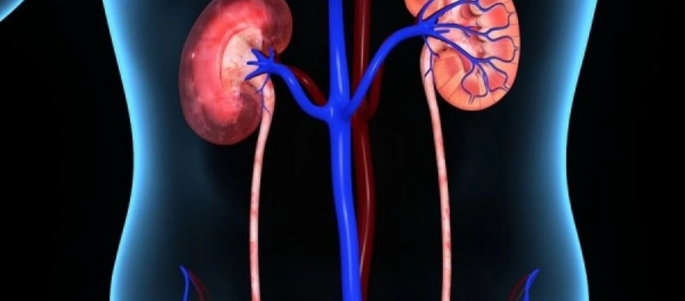 Tι είναι η ουρία και πως συνδέεται με την άνοια;